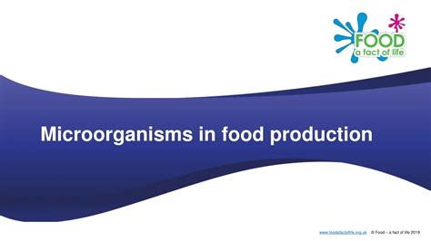 ppt microorganisms in food production powerpoint presentation free download id 8835473
