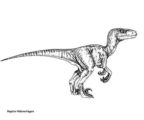 Dinosaurier park ausmalbilder image result for jurassic park coloring pages. Jurassic Park Ausmalbilder Einzigartig 24 Raptor ...