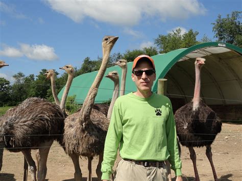 Podcast 211 Ostrich Farm — Joey Bee Outdoors Science And Nature