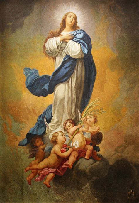 Why Do We Celebrate The Immaculate Conception National Shrine Of The Immaculate Conception