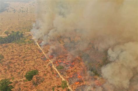 Amazon Rainforest Fires Wwf Reveals Shocking Photos Of Devastation In