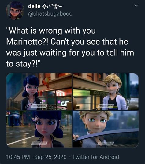 Pin By Trinh On Miraculous Miraculous Ladybug Memes Miraculous