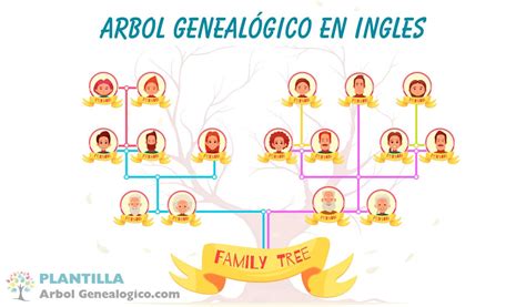 🧿 Árbol Genealógico En Ingles Aprende Como Hacerlo