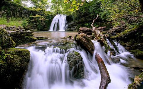 Forest Waterfall Wallpaper ·① Wallpapertag