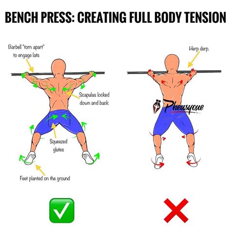 The Beneficial Bench Press Guide To Build Your Chest And Increase Your