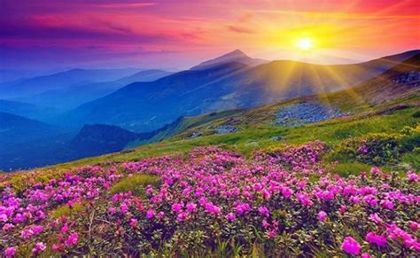 Sep 15, 2021 · conejo valley guide® covers thousands of events, activities and things to do throughout ventura county, california and surrounding areas. Valley of Flowers - Nandadevi - India For You