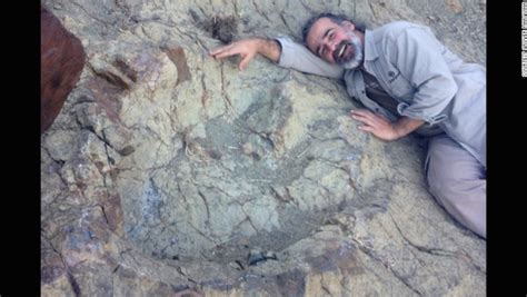 Researchers Find The Largest Ever Dinosaur Footprint On Earth Ancient Code