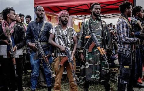 Nine Rebel Groups Join Forces Against Ethiopian Govt Igbere Tv