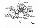 Images of Toyota 22r Vacuum Hose Diagram