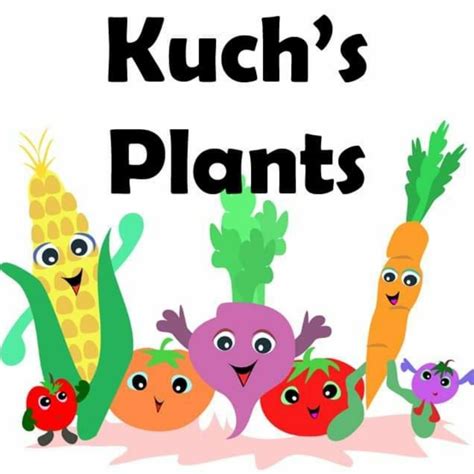 Kuchs Plants Sydney Nsw