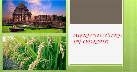 Agriculture In Odisha Ppt Powerpoint