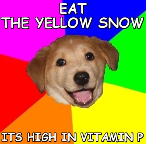 Yellow Snow Memes Humor Frases Humor Dog Memes Funny Memes Funny