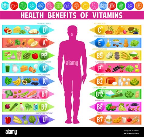 beneficios y fuentes de vitaminas y minerales tabla gráfica de vectores infográficos con cuerpo