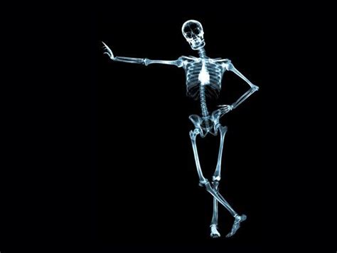 Skeleton X Ray Wallpaper Xray Art Art Wallpaper X Ray