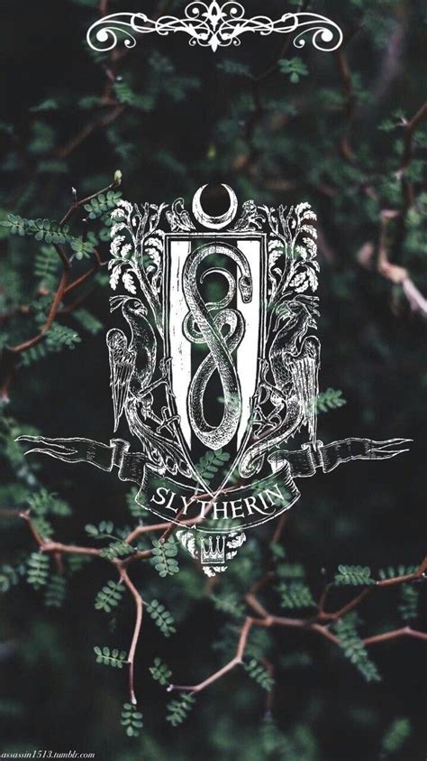 Slytherin Aesthetic Wallpapers Wallpaper Cave