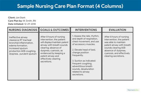 Mental Health Care Plan Template Download For Your Needs