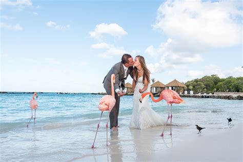 Prinsz Photography Aruba Best Wedding Photographers In Aruba