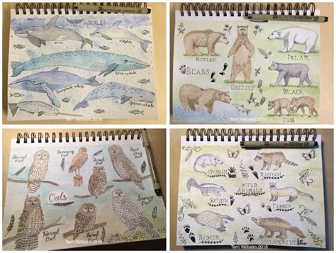 Animal Art Weeks 5 8 Terris Notebook