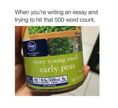 Pin By Lydia Michelle On Pick Me Ups College Memes Funny Essay Writing