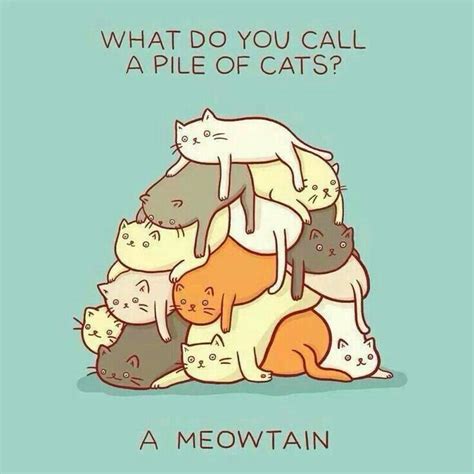 Pin By Jessica Meadows On Cats Cheesy Jokes Cat Puns Corny Jokes