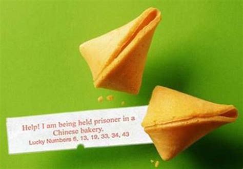 Enjoble Cooke About Bakery Of China Funny Fortune Cookies Fortune
