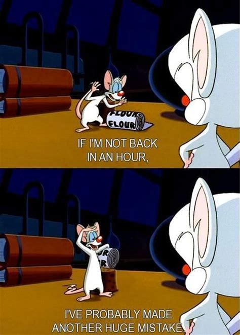 Pinky and brain are genetically enhanced laboratory mice who reside in a cage in the acme labs research facility. pinky and the brain :) | Silly jokes, Funny pictures, Old ...