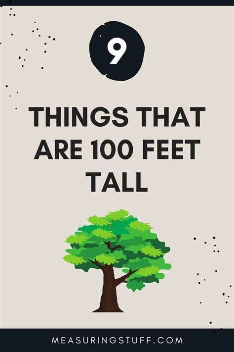 9 Things That Are 100 Feet Tall Measuring Stuff