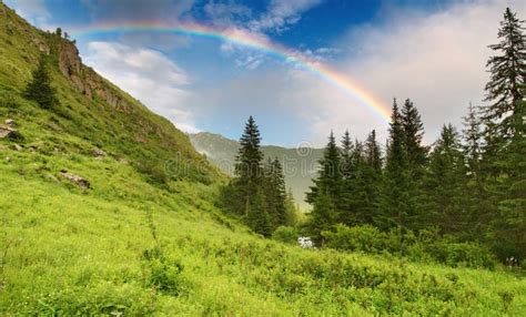 Rainbow Over Forest Stock Image Image Of Hill Weather 4331749