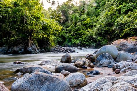Timelapse Of River Flowing Inside Wild Tropical Rainforest In Natural