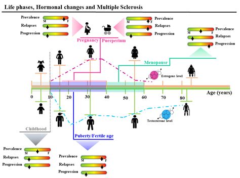 Biomedicines Free Full Text Sex Hormones As Key Modulators Of The