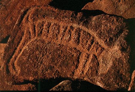 Burrup Rock Art Thylacine Thylacine Petroglyphs Rock Art