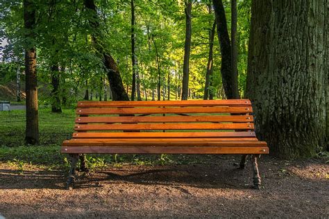 Hd Wallpaper Brown Wooden Bench Evening Progulka Park Wonderful