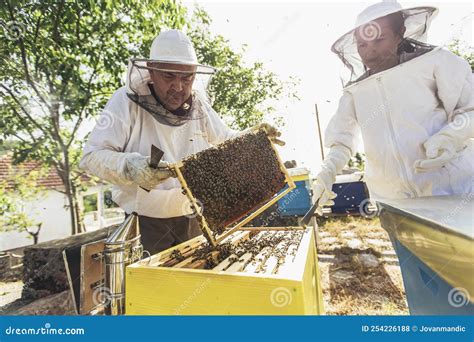Beekeepers Working To Collect Honey Stock Photo Image Of Golden