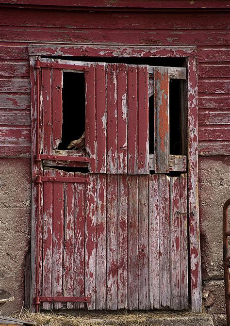 Old Barn Door Photograph By Cindy Angiel Fine Art America