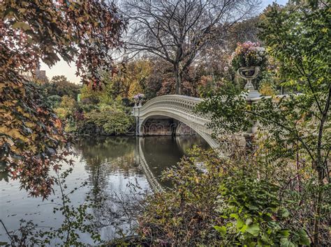 Bow Bridge Central Park In Autumn Stock Image Image Of Fall