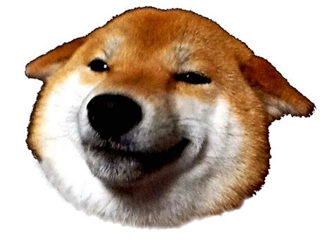 Pngtree offers doge meme png and vector images, as well as transparant background doge meme clipart images and psd files. Doge Png : The pnghost database contains over 22 million free to download transparent png images ...