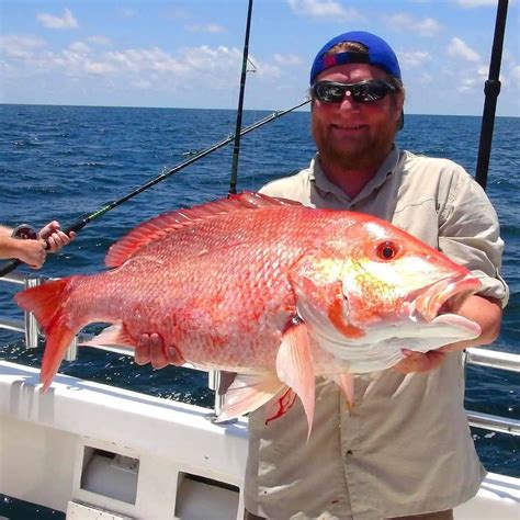 Orange Beach Deep Sea Fishing Charter Action Charter Service