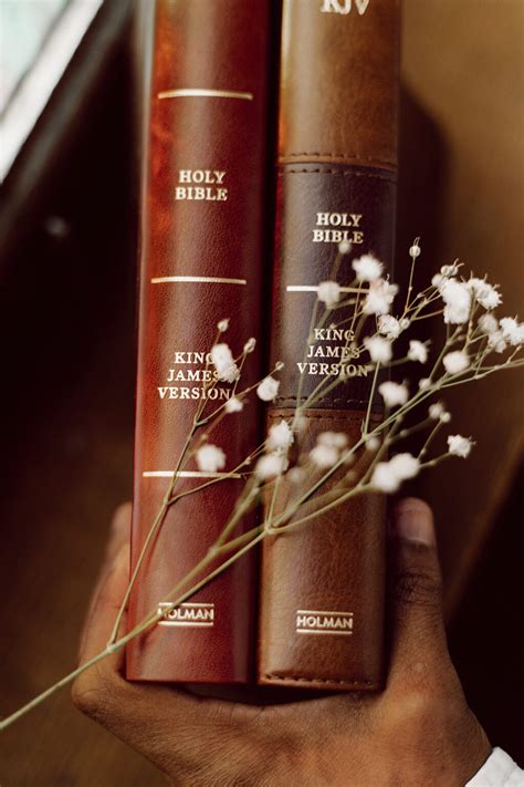 You Will Love This Kjv Study Bible Review Of 3 Holman Kjv Bibles