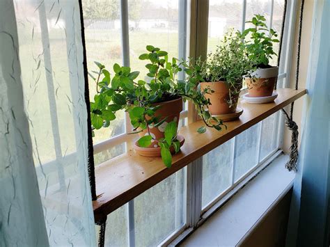 Hanging Herb Garden A Living Window Display Tales From Home