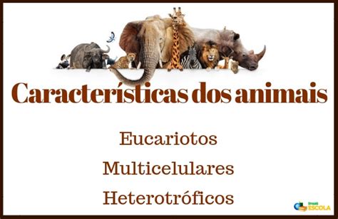 Animais Características E Animais De A A Z Brasil Escola