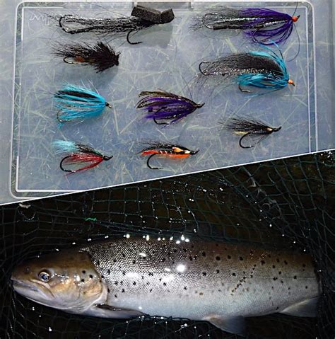 9 Sea Trout Flies That Are Successful On The Welsh Dee