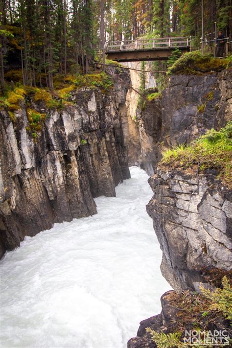 Sunwapta Falls Trail Best Canadian Rockies Day Hikes