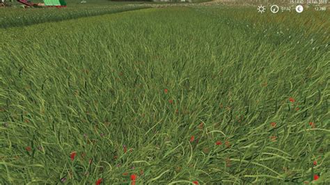 Fs19 Grass Texture V100 6 Farming Simulator 19 17 15 Mod