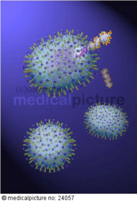 H5n1 Virus Influenza A Vogelgrippe Avian Influenza Bird Flu Doccheck