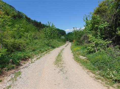 Free Stock Photo Of Nature Path Pathway