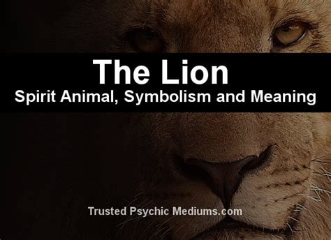 The Lion Spirit Animal A Complete Guide To Meaning And Symbolism