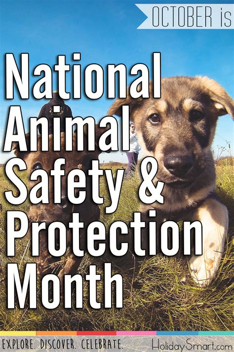 Animal Safety And Protection Month Holiday Smart