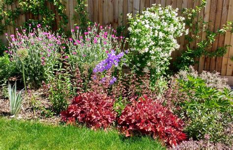 Medium size garden, design ideas. Medium sized garden design ideas - Rhoda Maw Garden Design