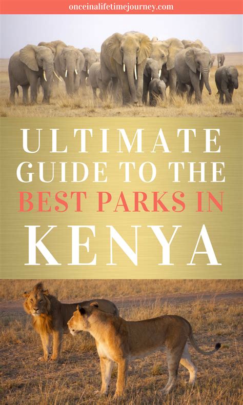 Kenyas National Parks And Reserves Receive Over Two Million Visitors A