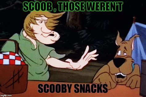 The Best Shaggy Memes Memedroid